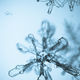 20101220-_AK03302.jpg