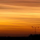 20110206-1721-_AK05781.jpg