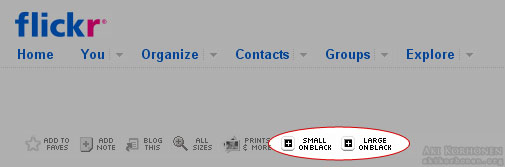 Flickr On Black Button
